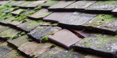 Wickford roof repair costs